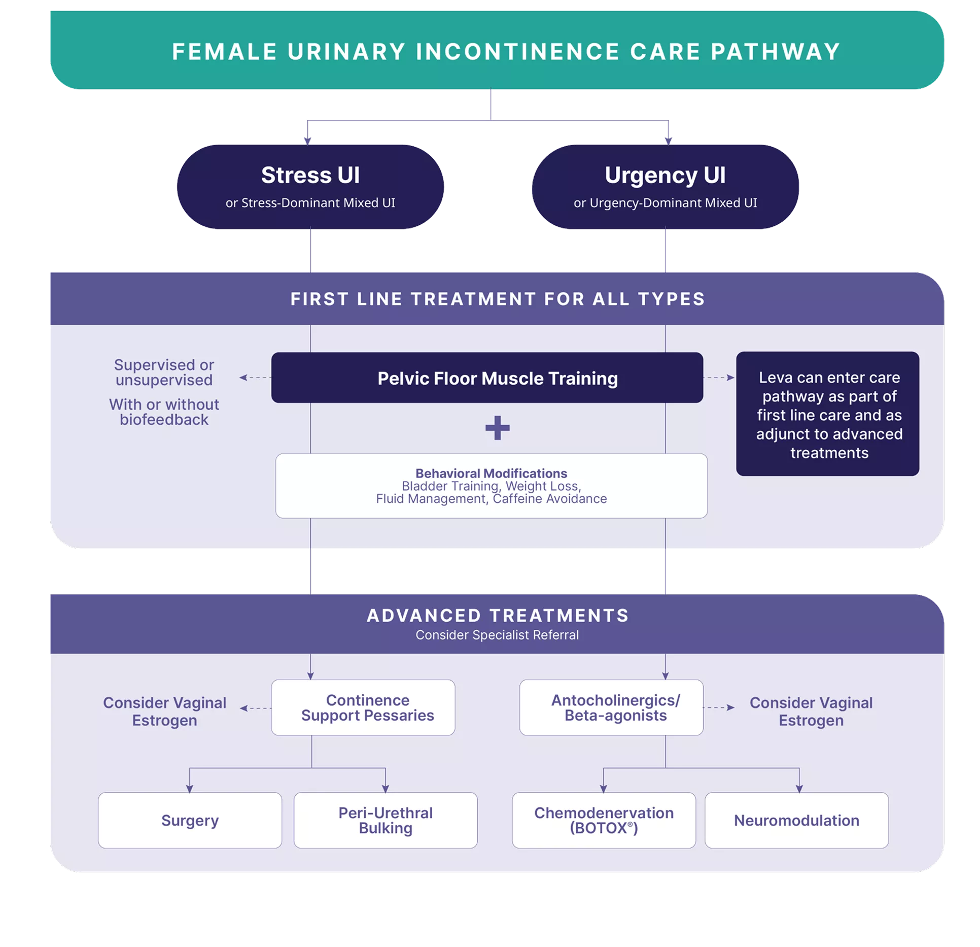 A flowchart titled **"Female Urinary Incontinence Care Pathway"** branches into two types:

- **Stress UI** (or Stress-Dominant Mixed UI)
- **Urgency UI** (or Urgency-Dominant Mixed UI)

**First Line Treatment For All Types:**
- **Pelvic Floor Muscle Training** (supervised or unsupervised, with or without biofeedback)
- **+**
- **Behavioral Modifications:** Bladder Training, Weight Loss, Fluid Management, Caffeine Avoidance
- *Leva can enter care pathway as part of first line care and as adjunct to advanced treatments*

**Advanced Treatments** *(Consider Specialist Referral):*

Left path:
- **Continence Support Pessaries** *(Consider Vaginal Estrogen)*
  - → **Surgery**
  - → **Peri-Urethral Bulking**

Right path:
- **Antocholinergics/Beta-agonists** *(Consider Vaginal Estrogen)*
  - → **Chemodenervation (BOTOX®)**
  - → **Neuromodulation**